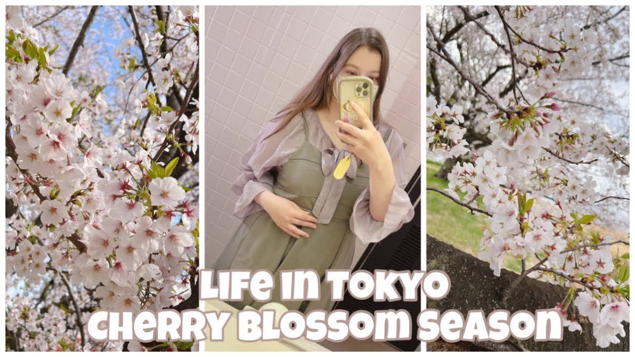 Cherry Blossoms & Work: Tokyo During Sakura Season! Vlog 🌸