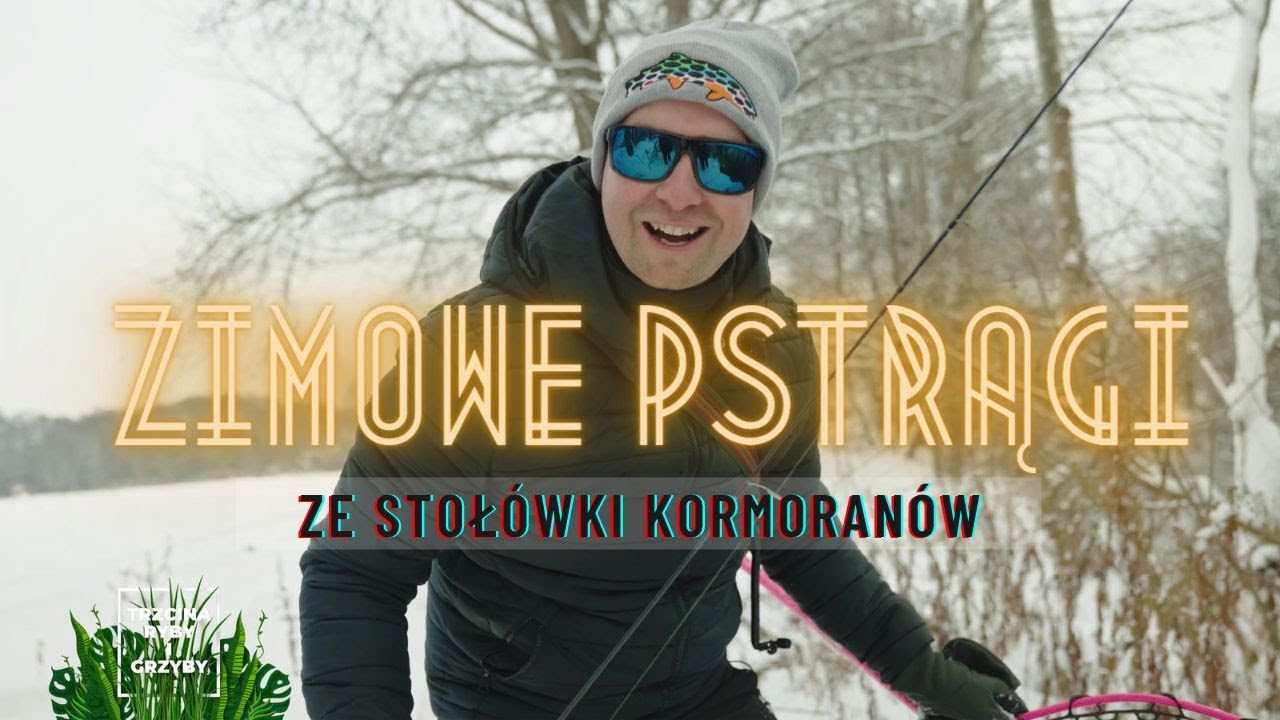 Zimowe pstrągi ze stołówki kormoranów!
