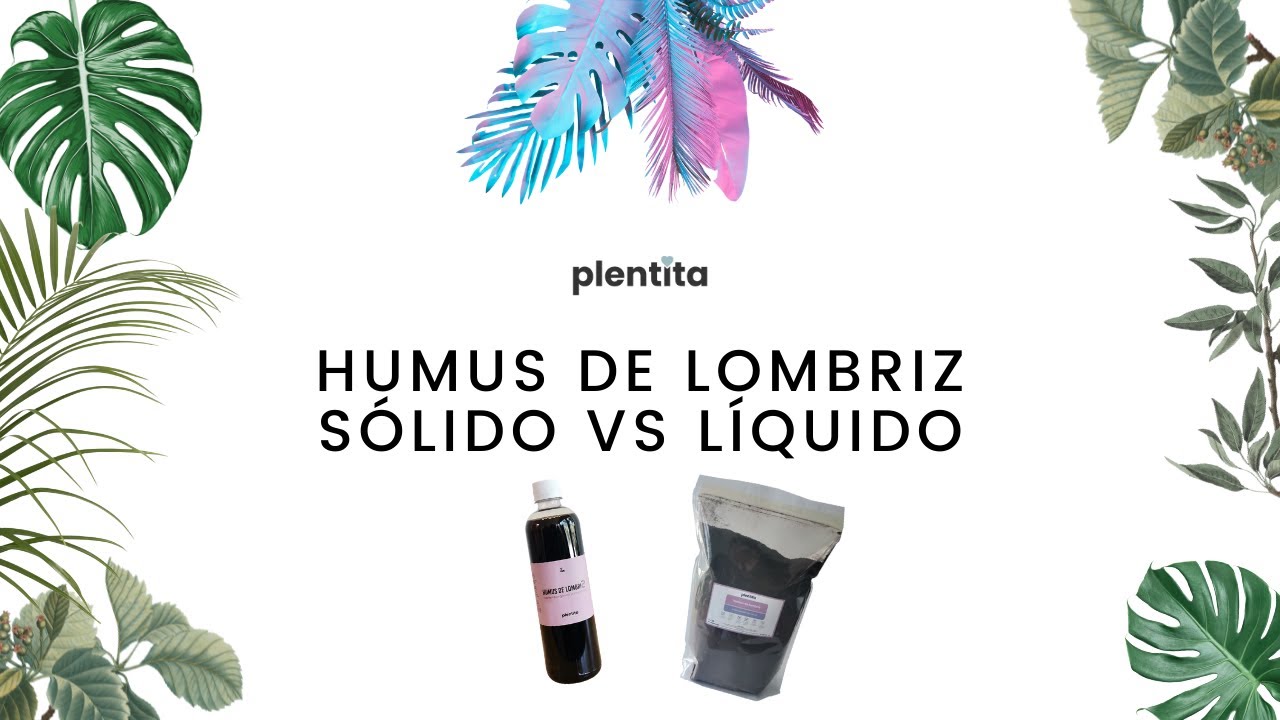 Humus de lombriz s&oacute;lido vs l&iacute;quido