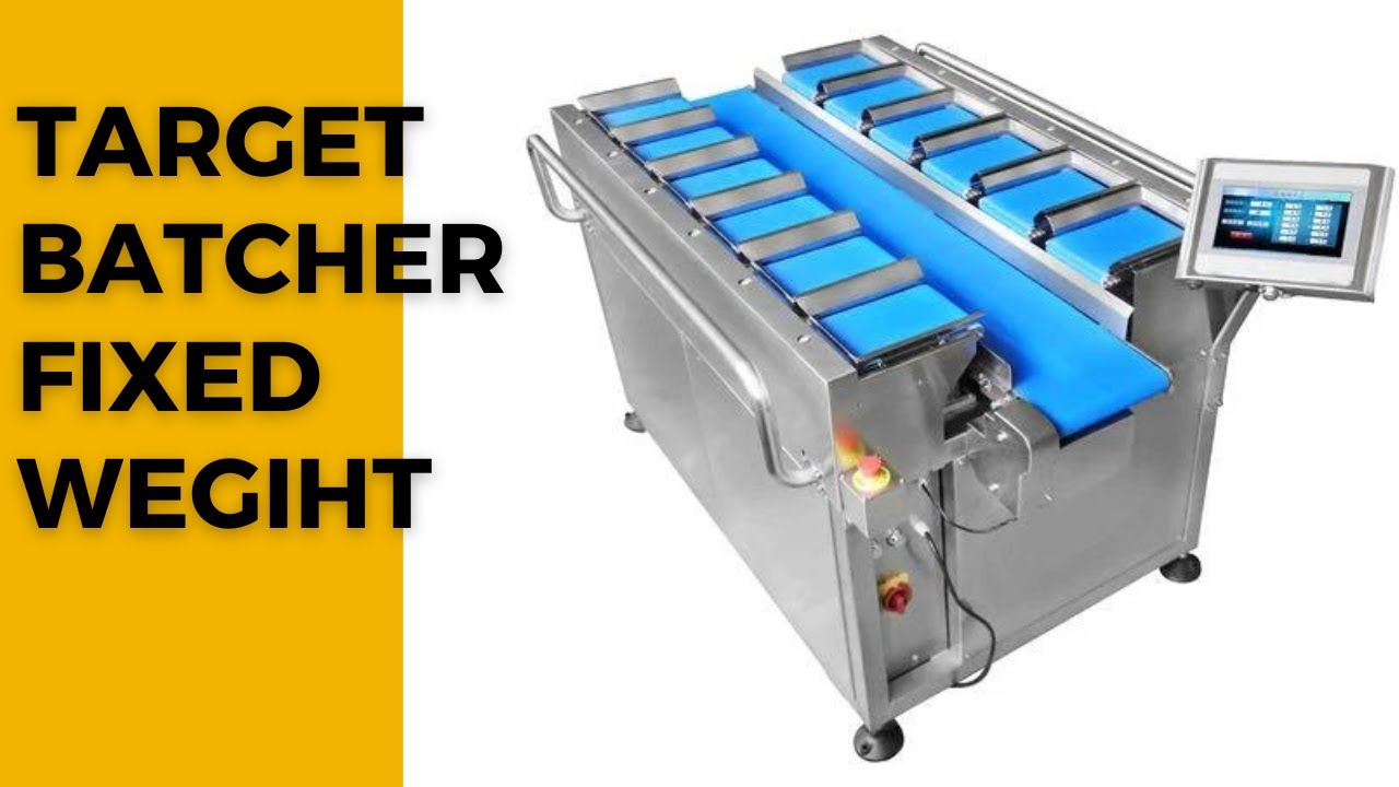 Conveyor Target Batcher for frozen fish fillet Combination Weighing scale
