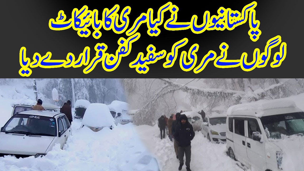 Logon Ka Murree Jane Se Boycott || Boycott Murree || Lahori Janu || Today Digital