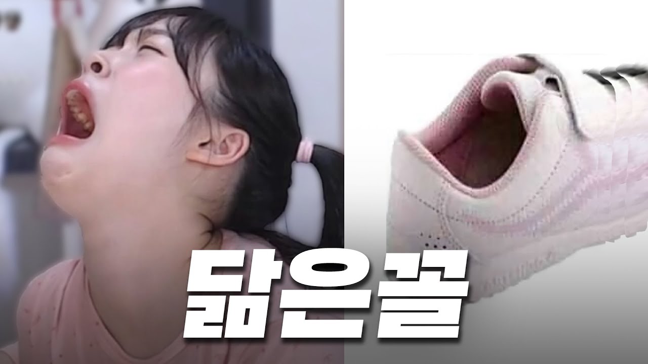 기상천외한 뽀구미 닮은꼴 대회