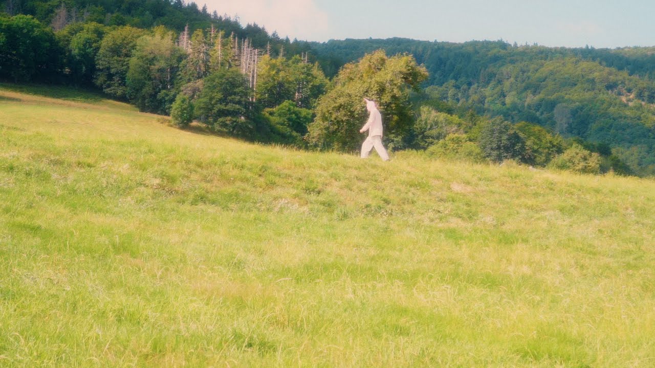 Stjepan - PPRINTEMPS (vizualizer)