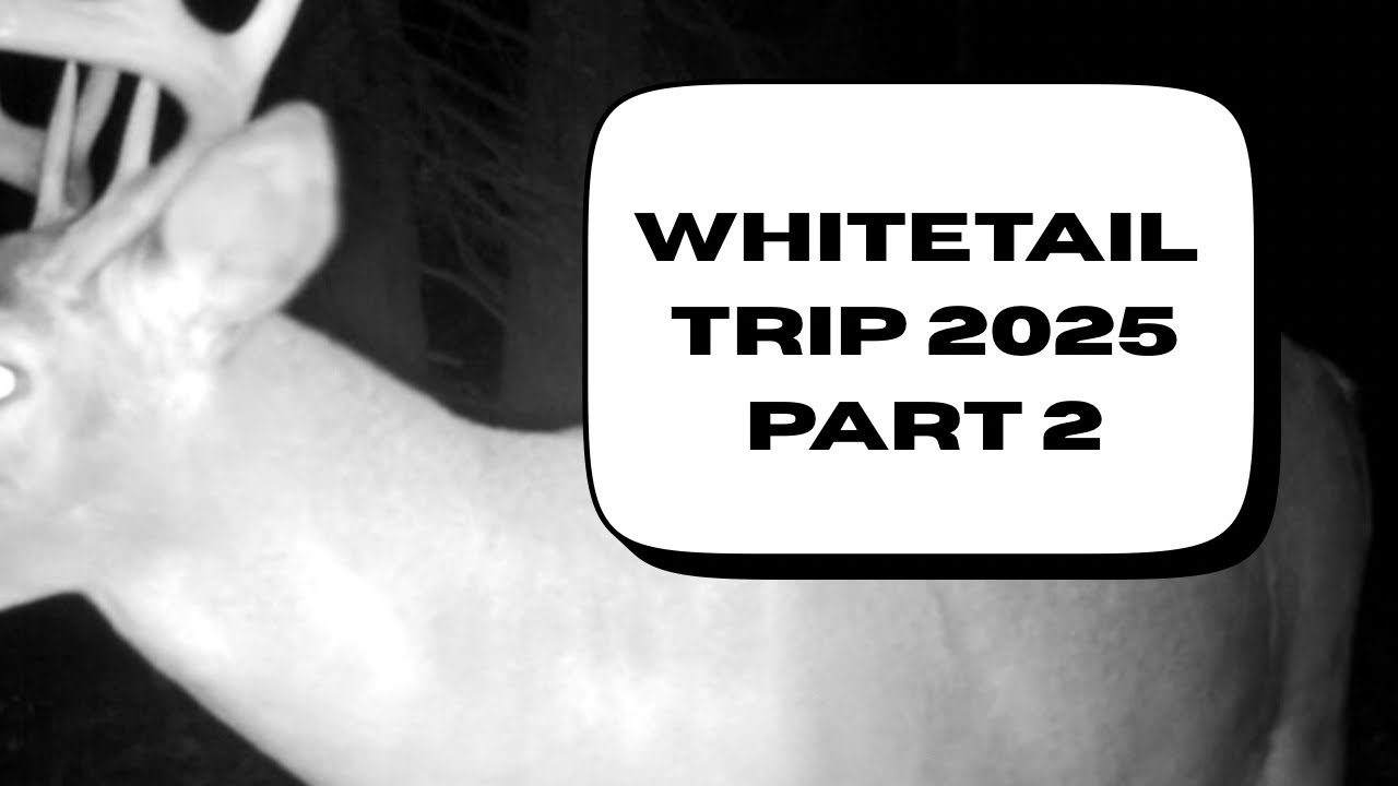 BC Whitetail Trip 2025 - Part 2