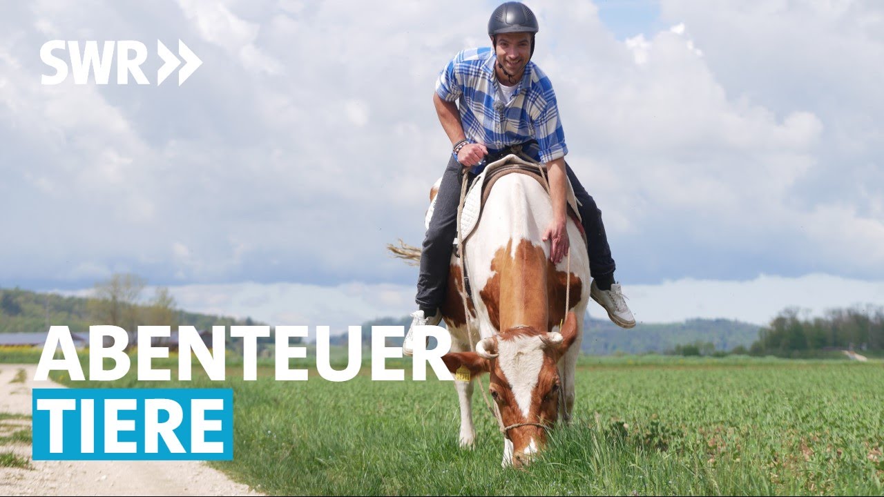 Ausflug zu Tieren: Am Wochenende bei Wolf, Biene, Lama und Kuh | SWR Treffpunkt