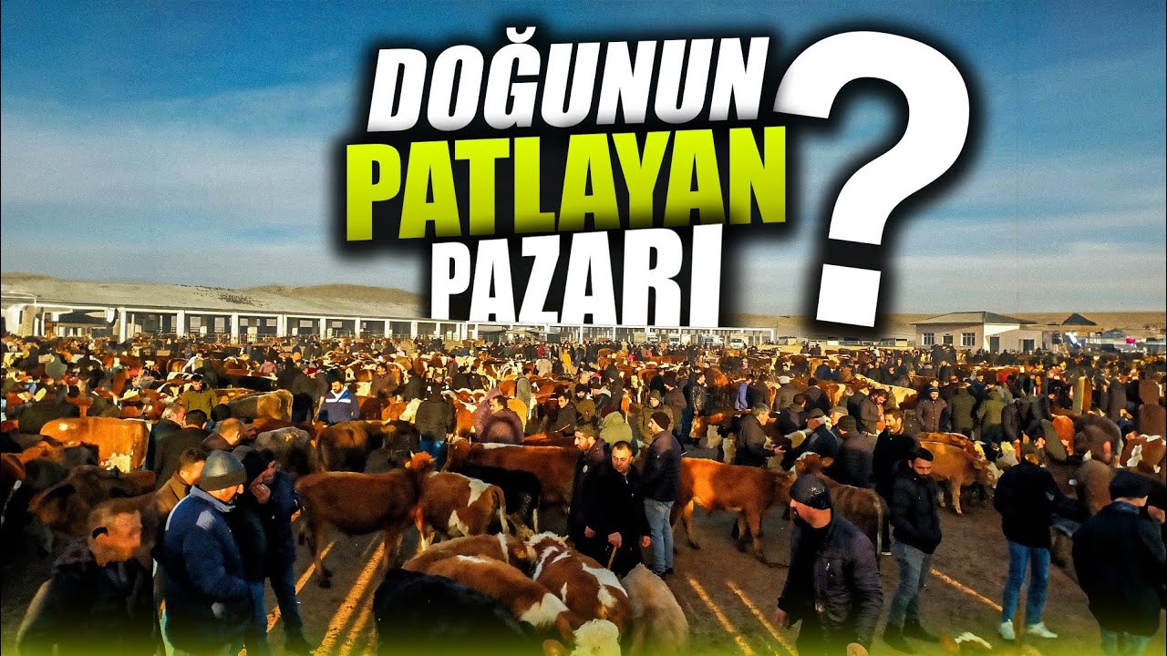 Kars Hayvan Pazarı Son Durum ?