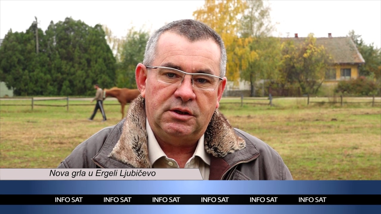 Info Sat Nova grla u Ergeli Ljubicevo