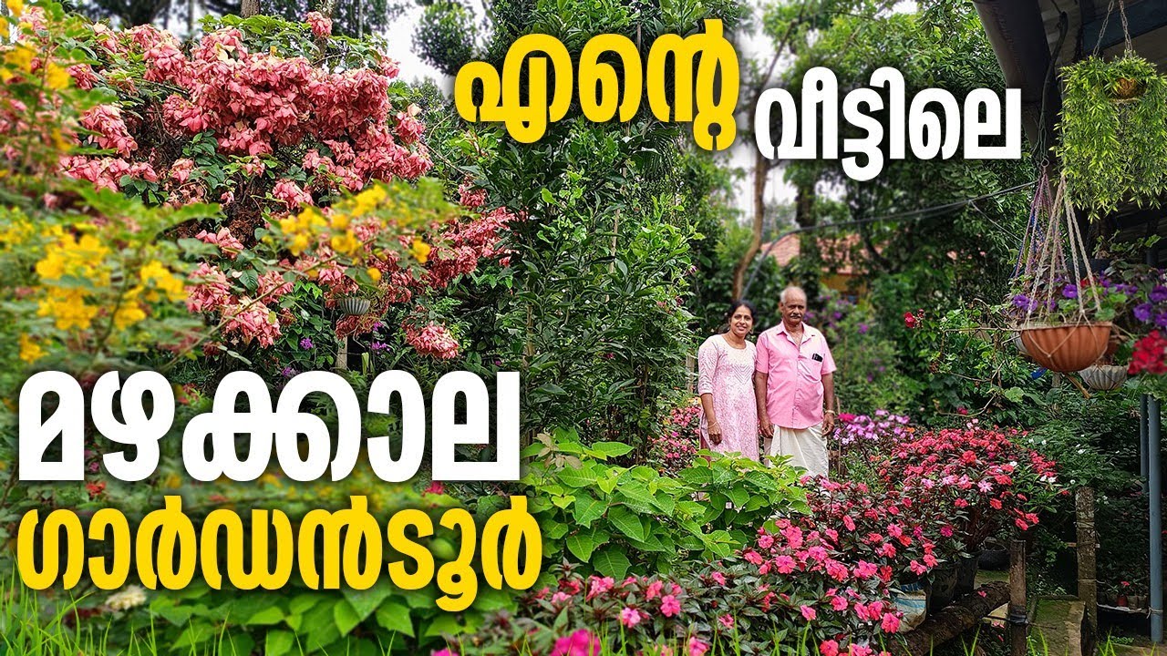 മഴക്കാലത്തും നിറയെ പൂക്കത്തിരുന്ന് സൂപ്പർ ടിപ്സ് 😯