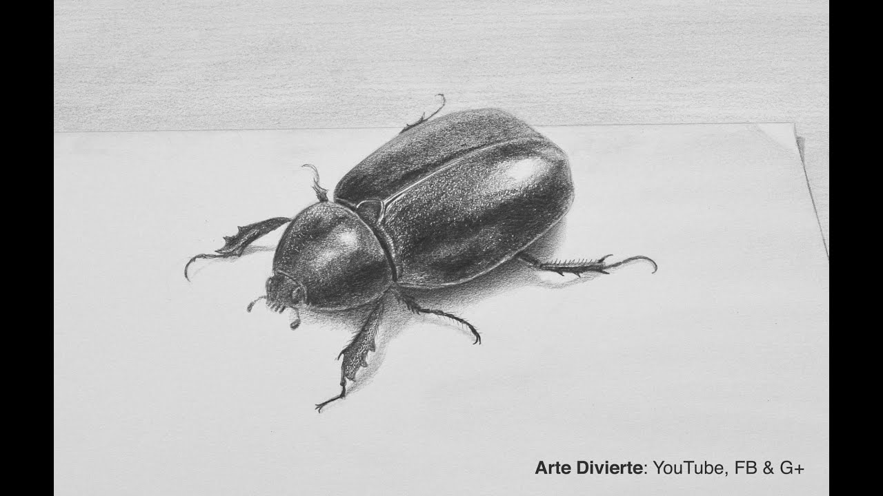 Cómo dibujar un escarabajo a lápiz en 3D - Insecto