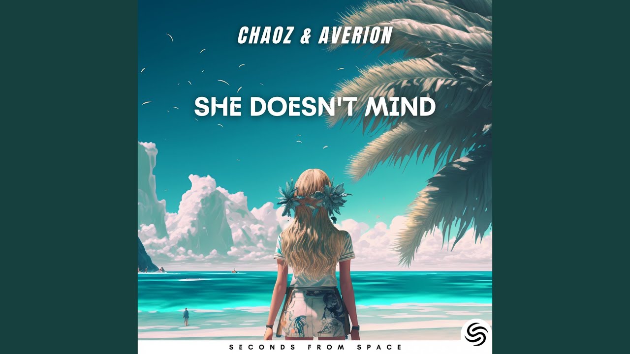 She Doesn't Mind (Hardstyle Version)
