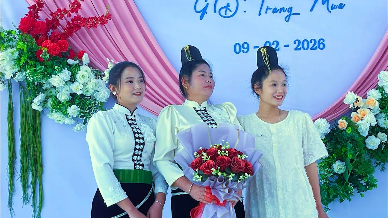 Video tổng hợp 