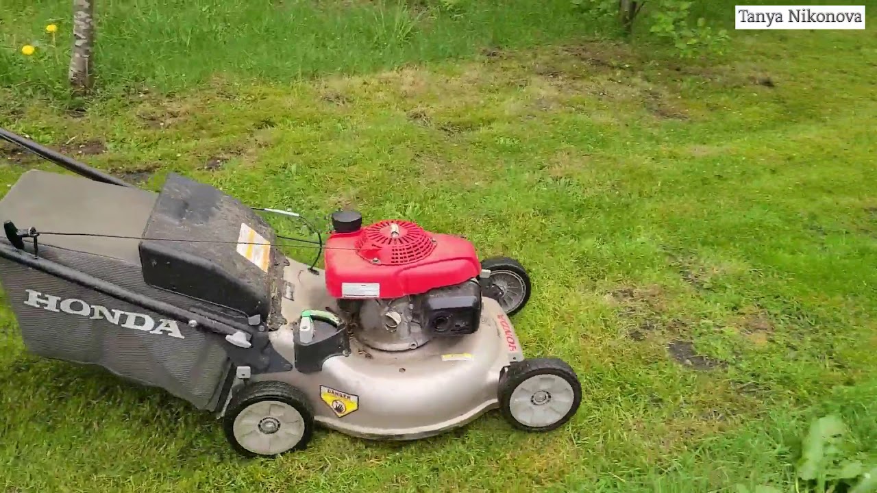 Газонокосилка HONDA бегает быстрее человека. Косилка на все времена.