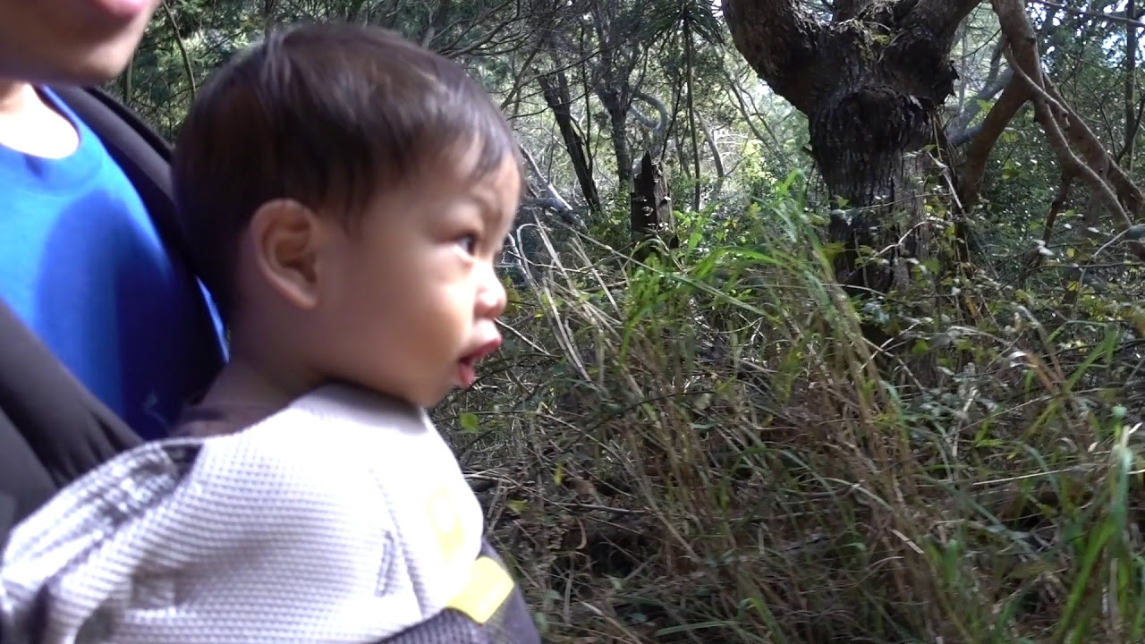 Waimea Canyon Trail - Part 1 - Trailhead