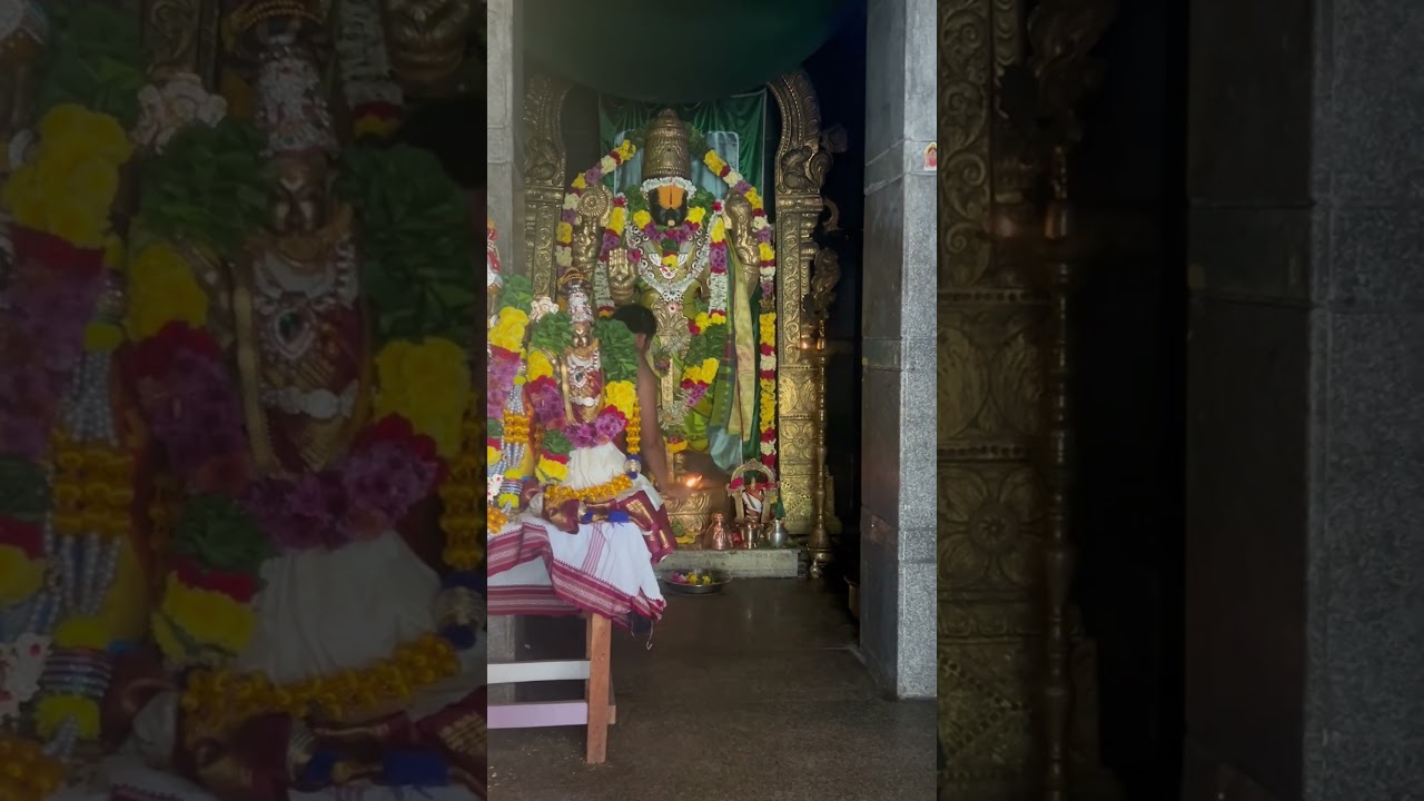 Swami blessings 🙇&zwj;♂️🙏