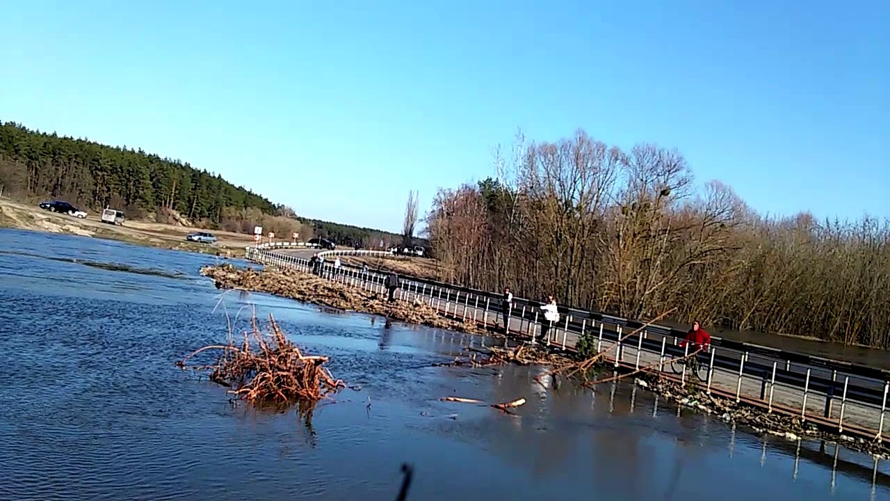 Ворскла. Вода прибуває