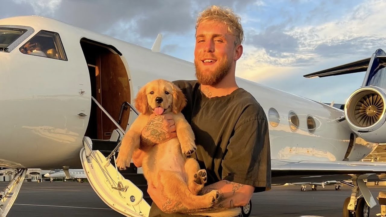 My New Life As A Pro Boxer.