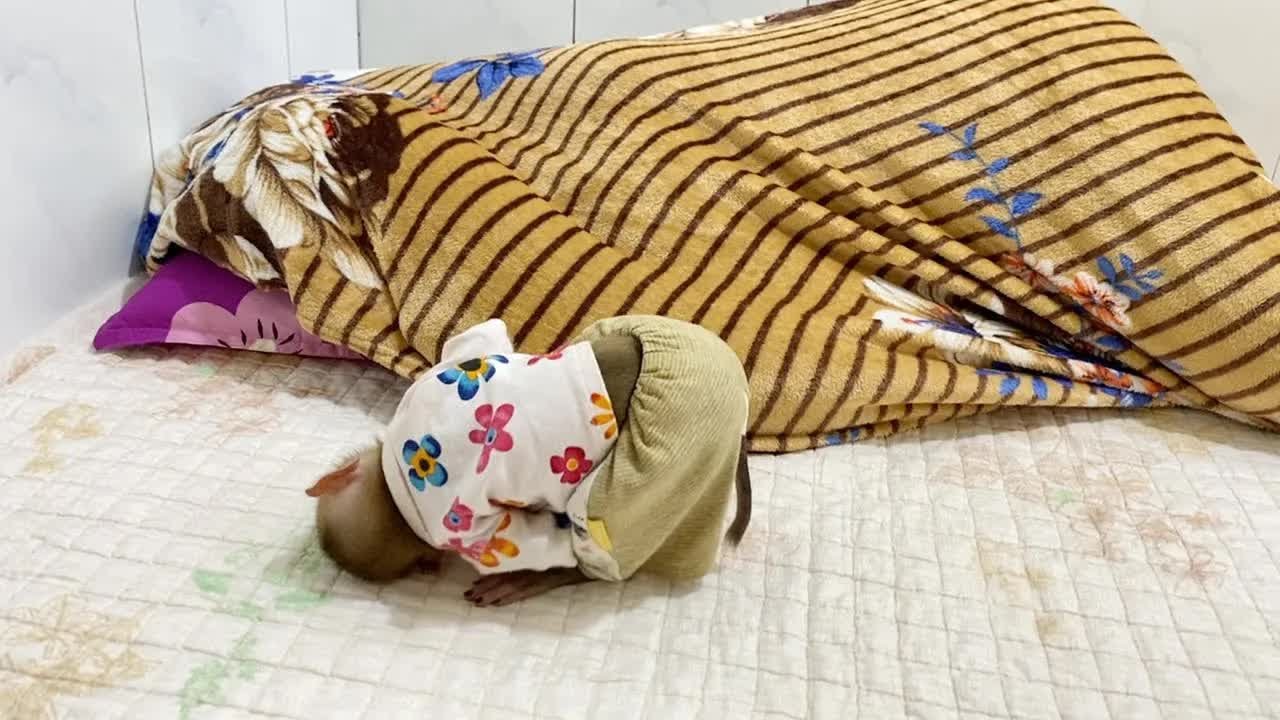 Hahaha!! DAM Playing Hid And Seek With Mom Inside Blanket