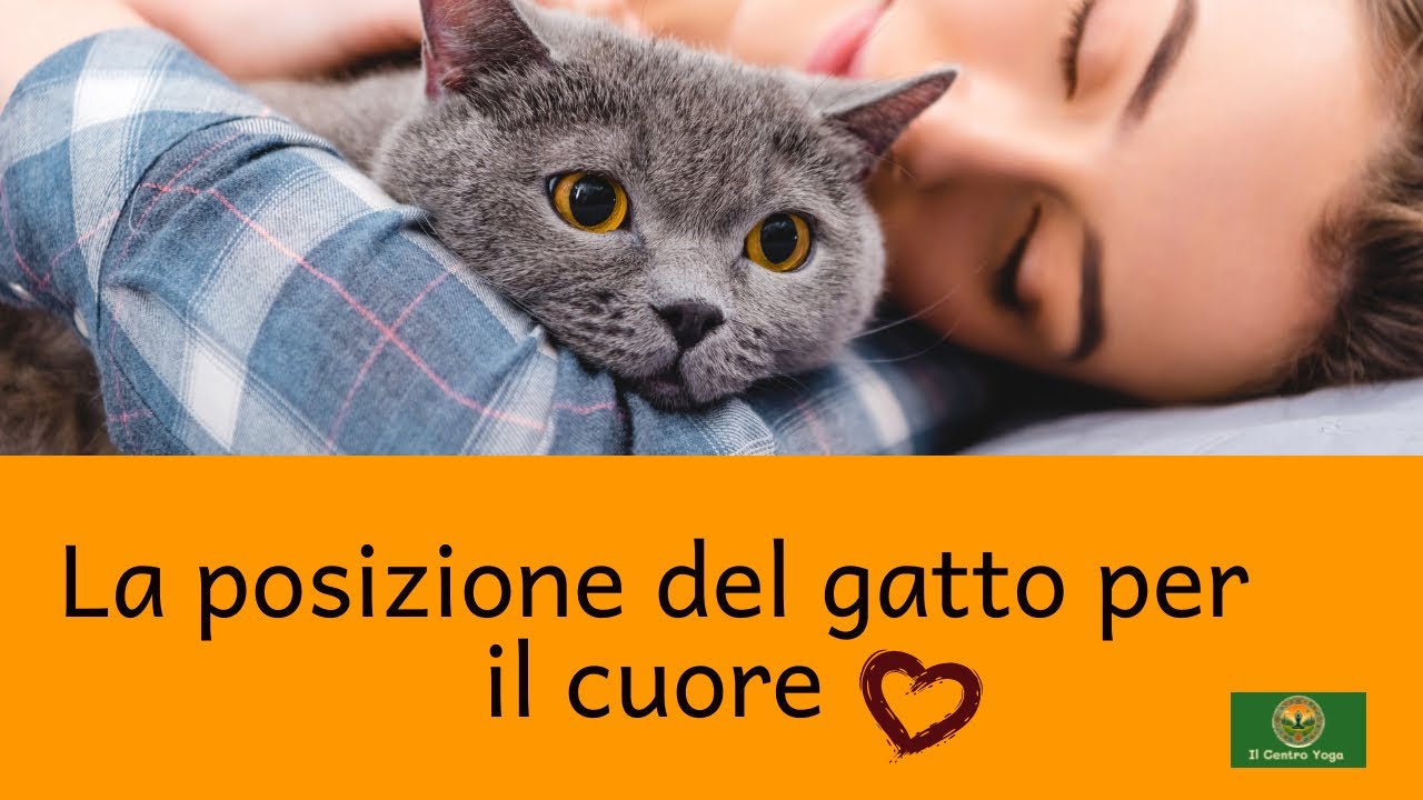 La posizione del gatto per il cuore