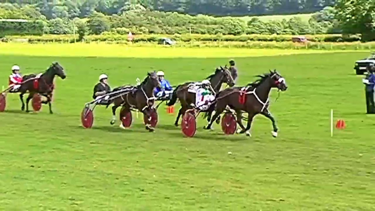 Presteigne Harness Races 2007 Grade A Heat 1