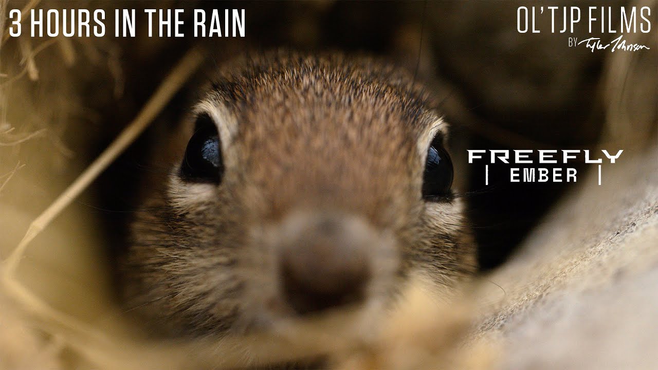 | EMBER | in the rain - 5k 616fps