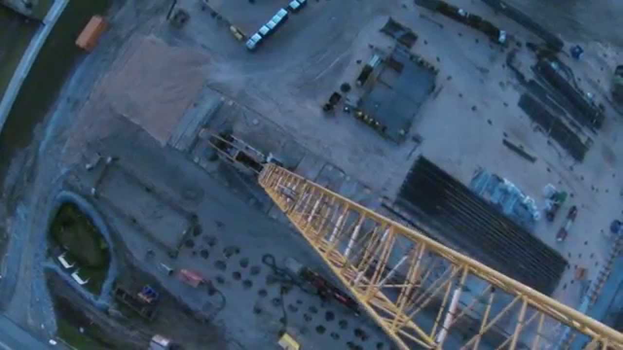 Flying with Cranes...and other birds...