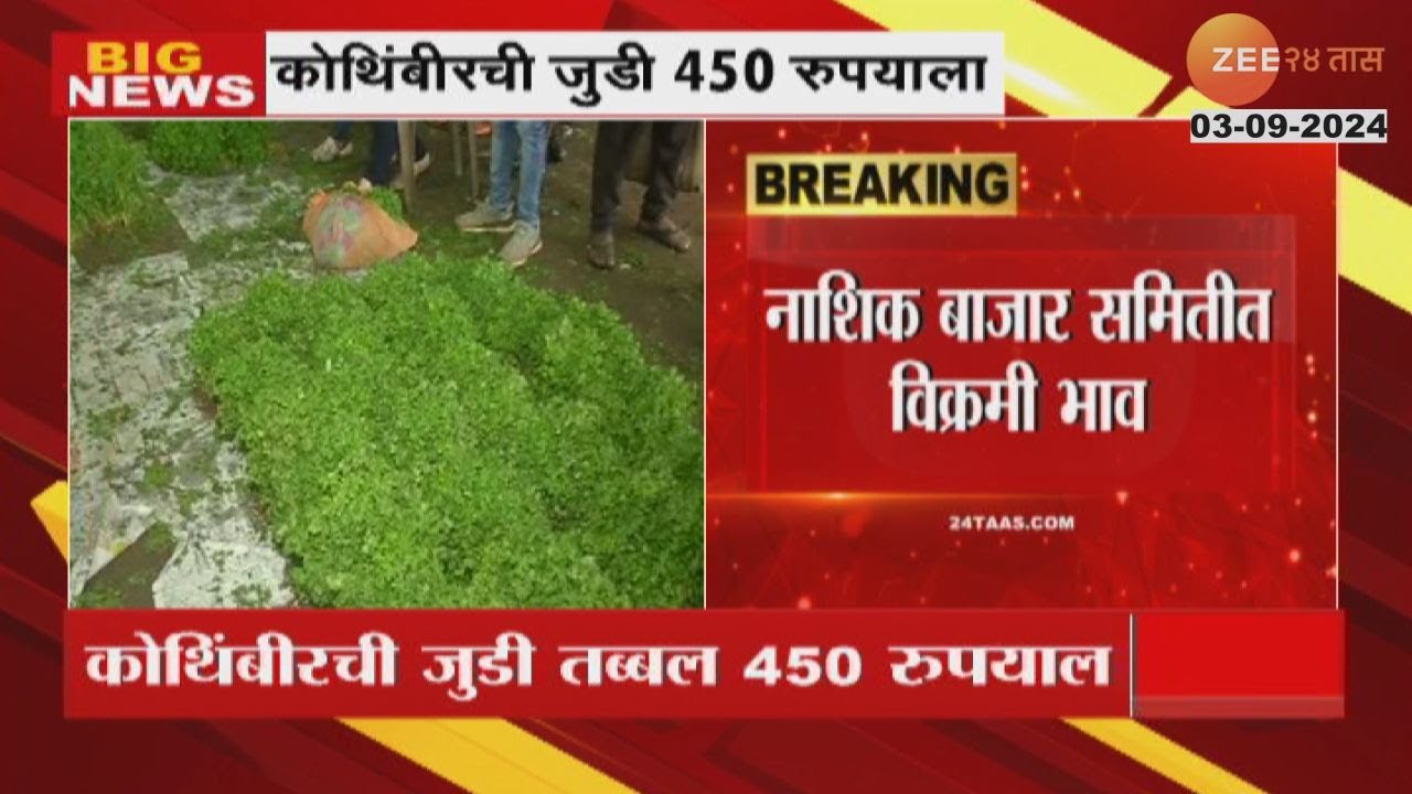 Nashik Coriander Price Hike | नाशिक बाजार समितीत एक नंबर कोथिंबीरीची जुडी तब्बल! 450 रुपयाला