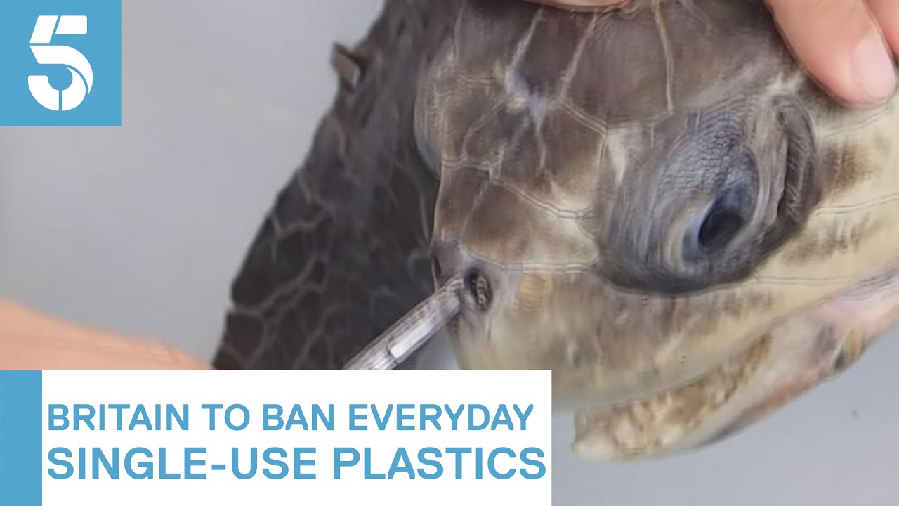 Plastic straws and cotton buds among single-use plastics to be banned in the UK | 5 News