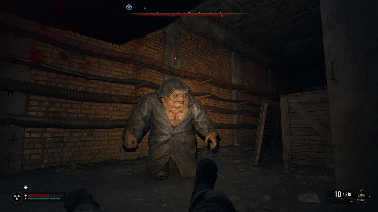 How to kill Burer Mutants in Stalker 2 