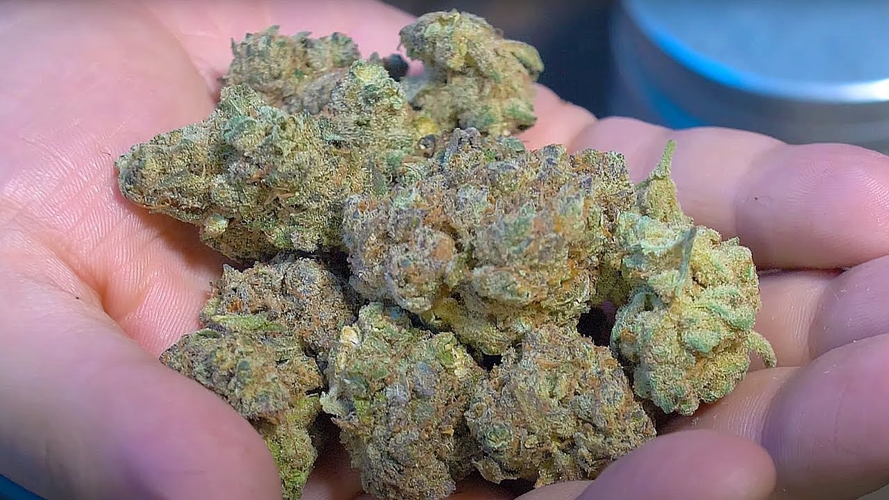 Gorilla Snacks Strain Review! Would You Roll This Up?