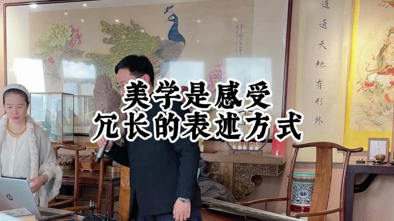 美学是感受；冗长的表述方式；