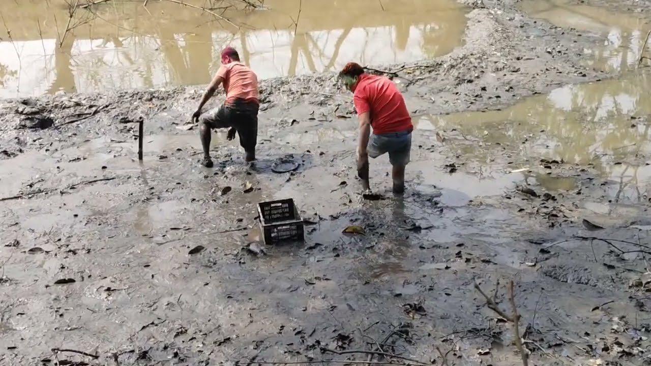 হলি বুলি বিলত মাছ ধৰিলো আজি।।04.03.2026. #holi #holiday #fishing #fish .