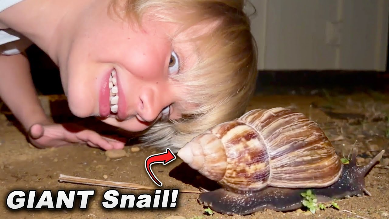 Should I EAT It??