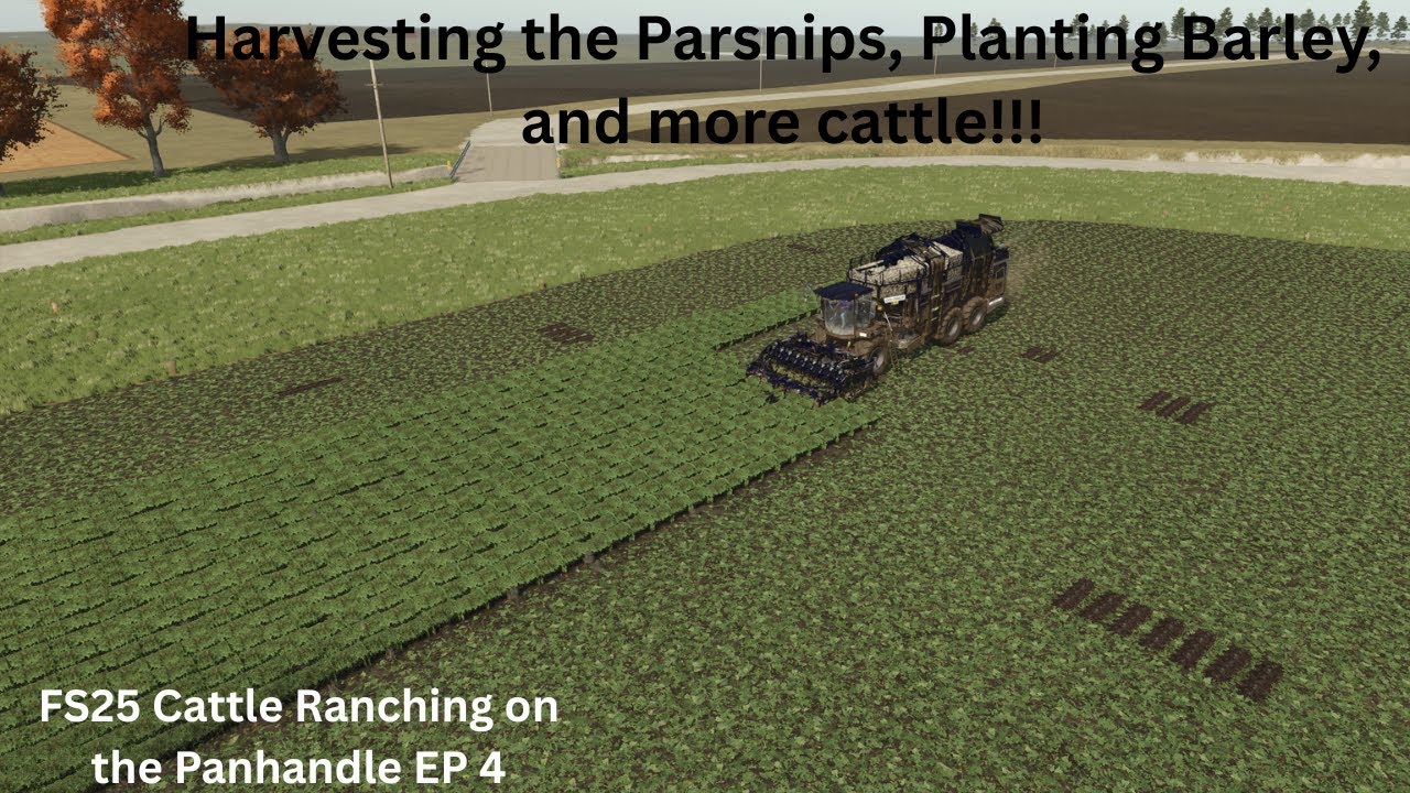 FS25 Ranching Series Building a Beef Cattle Ranch on The Panhandle EP 4