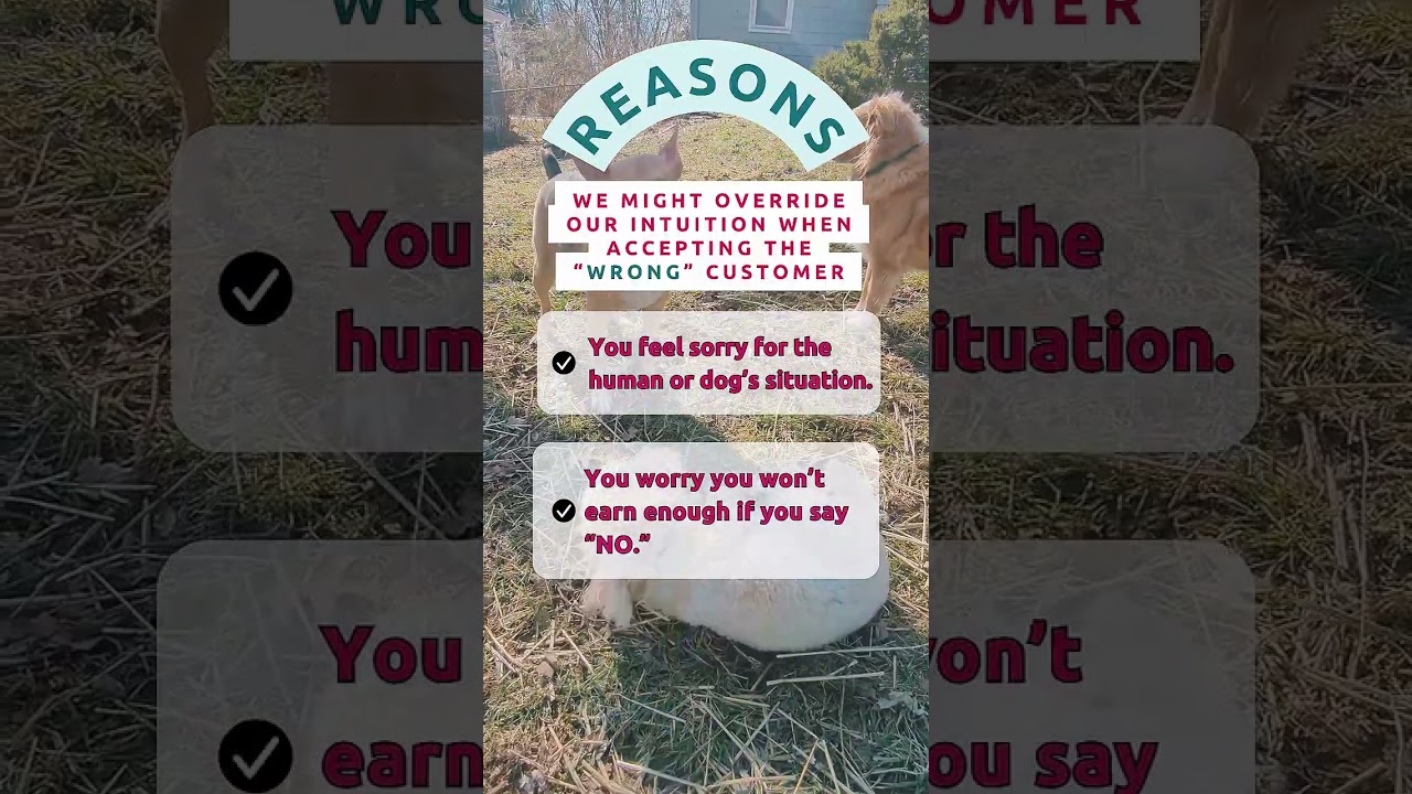 Ever Taken on the WRONG Customer? | Conscious Pet Sitter