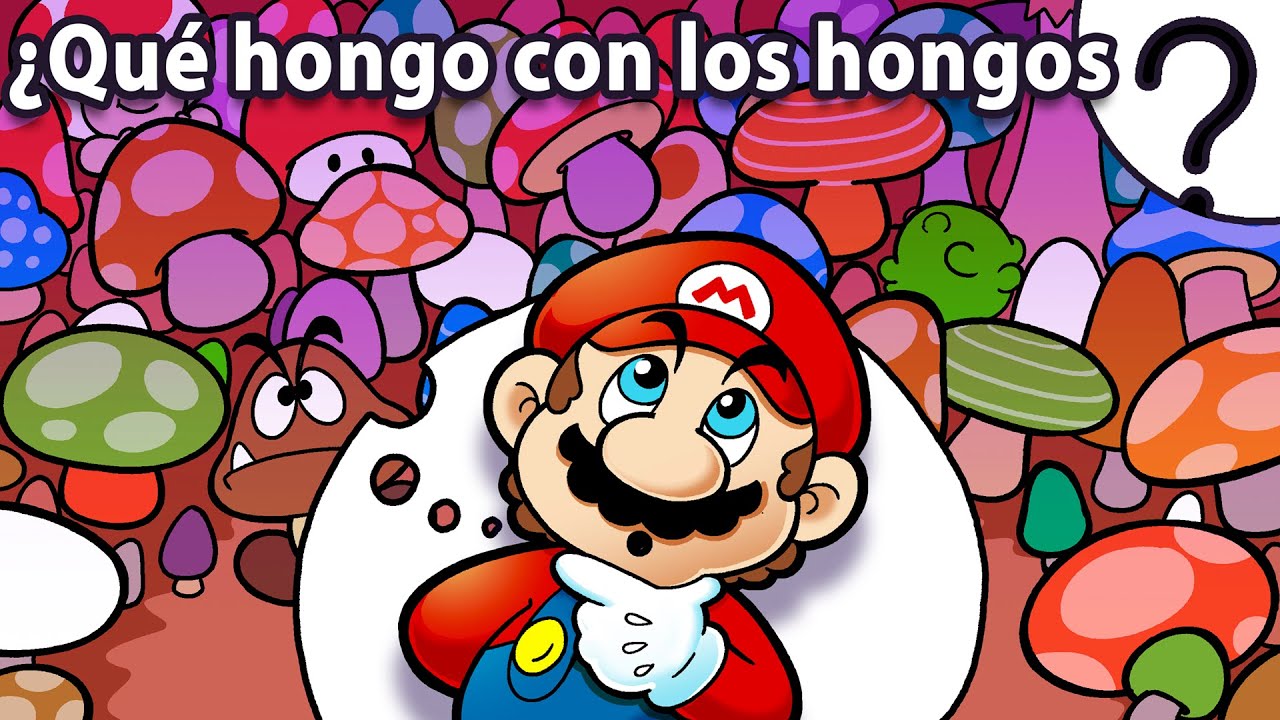 ¿Qué es realmente un hongo? 🍄 Datos mágicos que te volarán la cabeza.