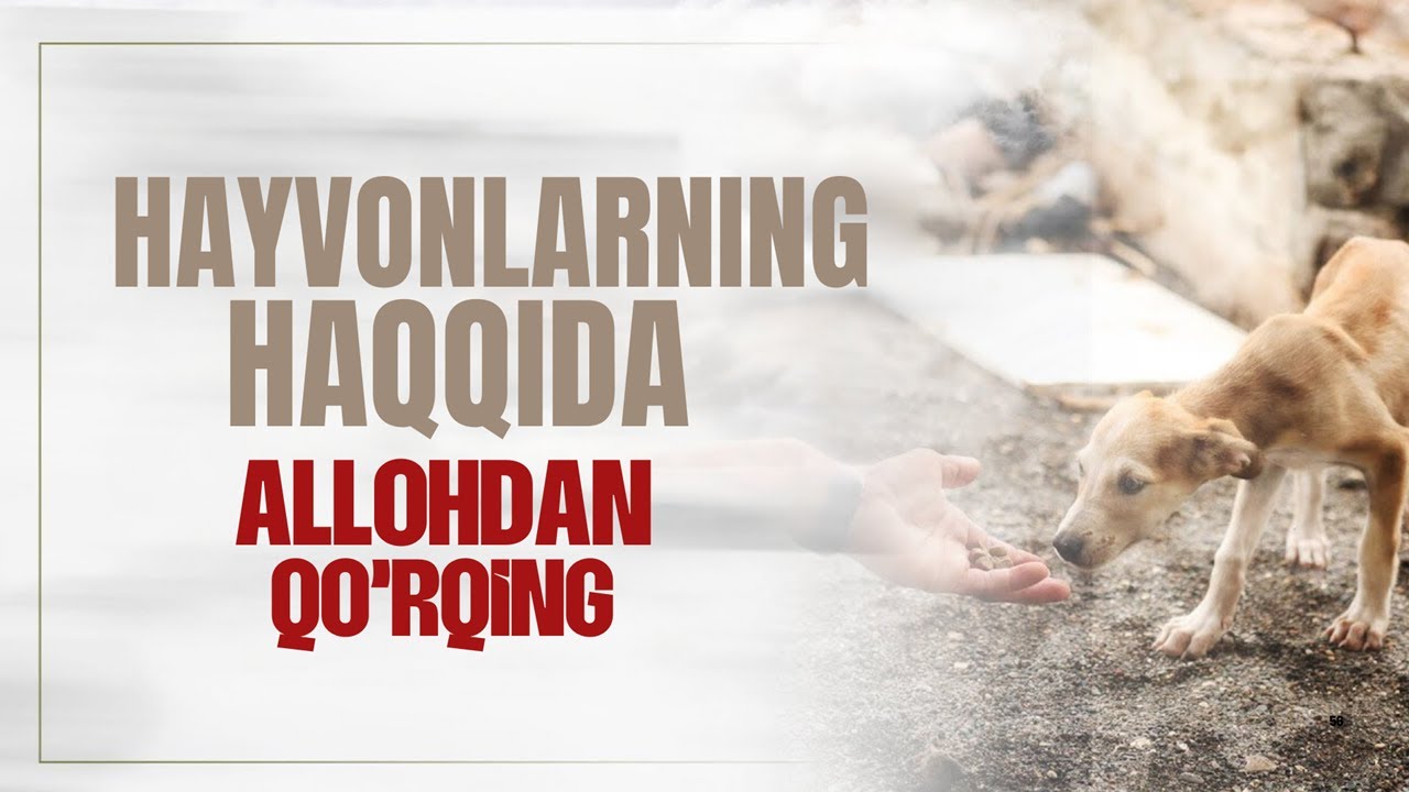 Hayvonlarning haqida Allohdan qo'rqing / Abu Hanzala Hafiahulloh
