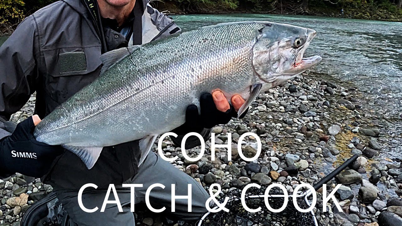 Coho Salmon Fishing On The River Catch & Cook!!