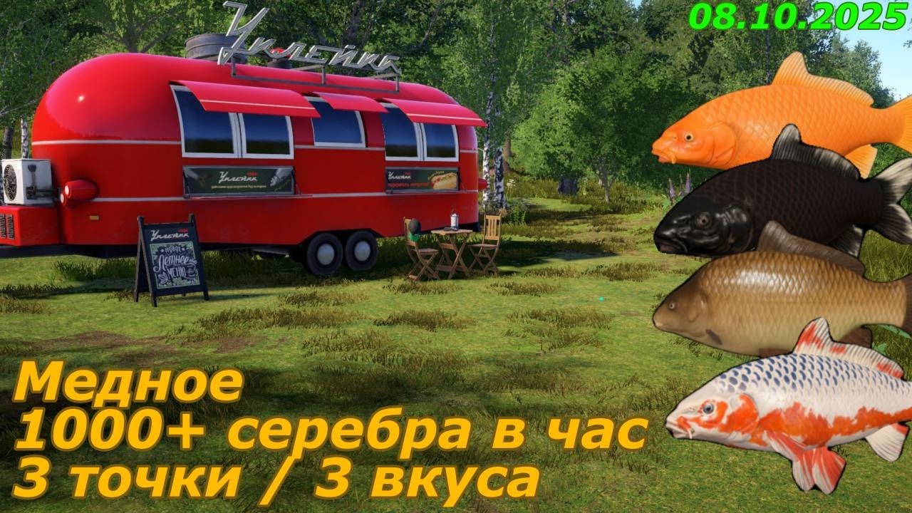 Точки клева на озере Медном | Русская Рыбалка 4 | Гайд по лучшим местам