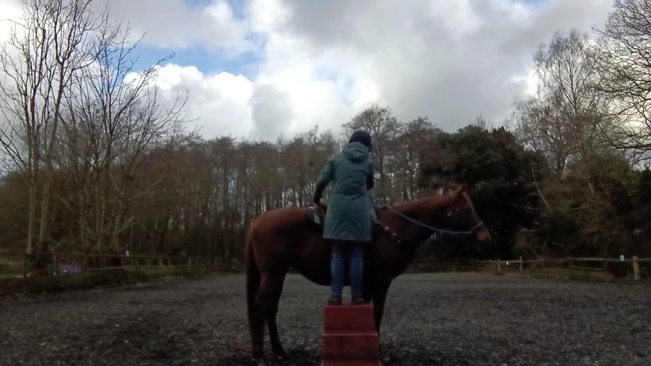 Amba, mounting, ridden continued...
