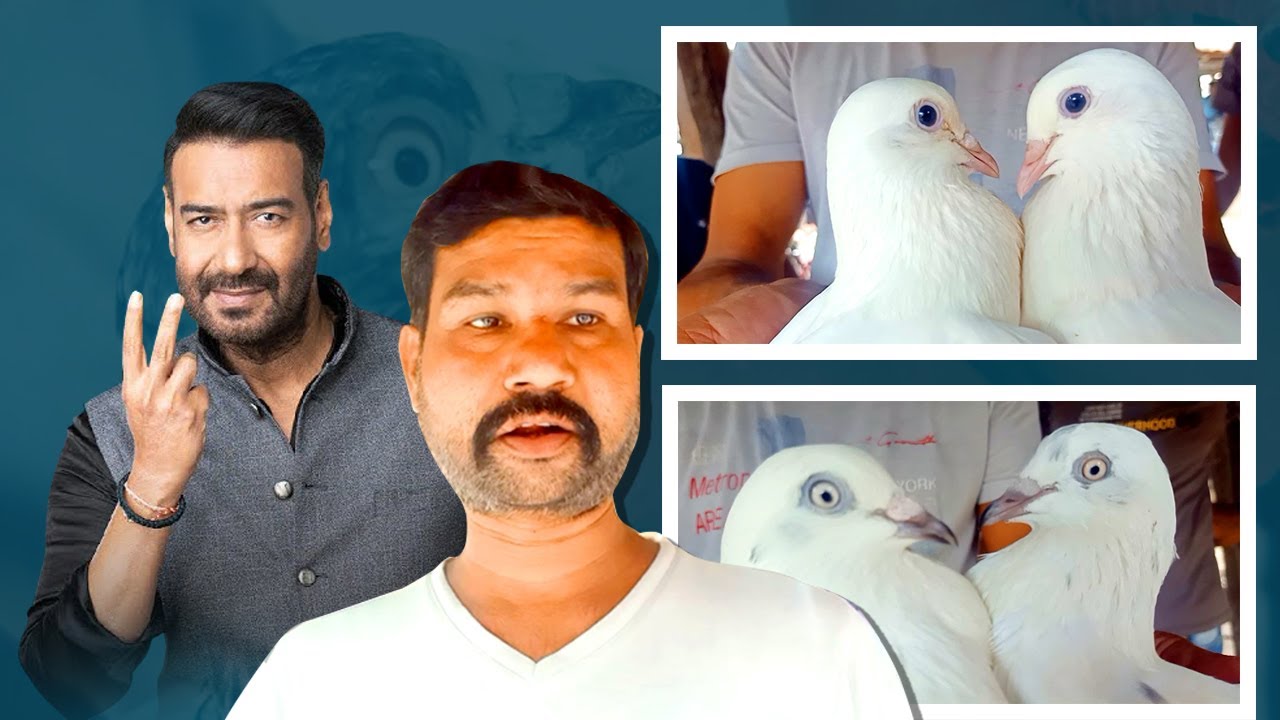 MADHYAMGRAM HAAT HIGH FLYING PIGEON | BEST PIGEON SELLER  | VISIT JUNE 2022