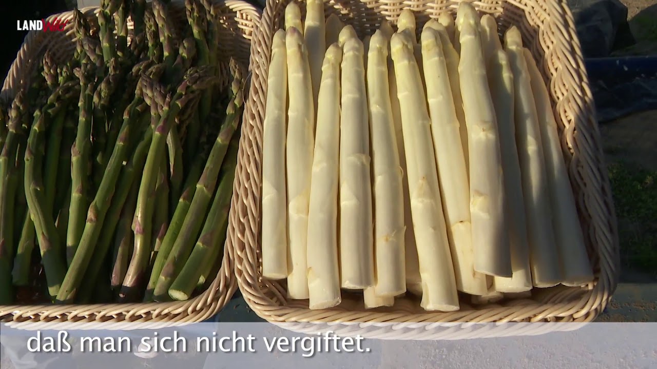 Der Landarzt r&auml;t (2): Spargel ist gesund