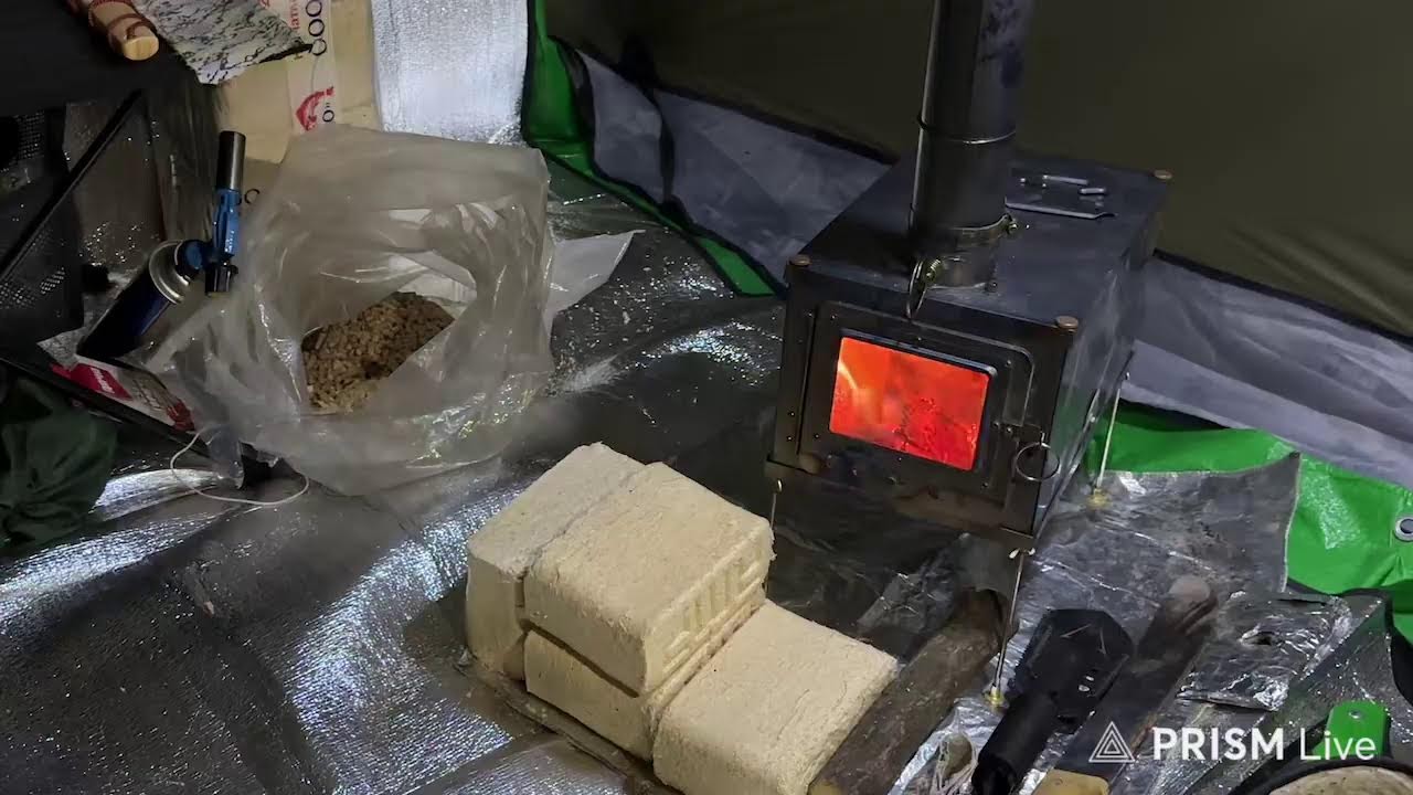 Ночевка в палатке с печкой в зимнем лесу Прямая трансляция Стрим  прямой эфир трансляция