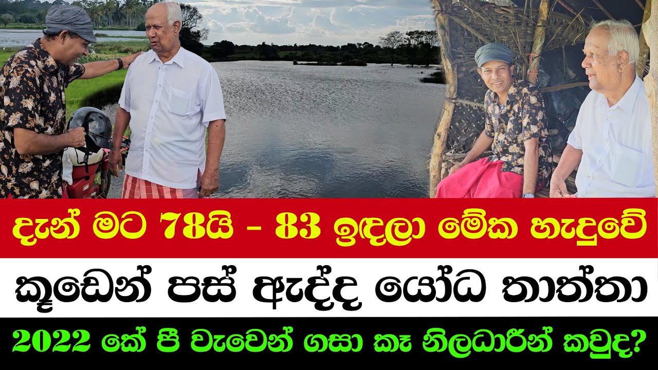 78-Year-Old Father Who Built a Giant Lake Alone | Even Without Me, This Lake Will Live On