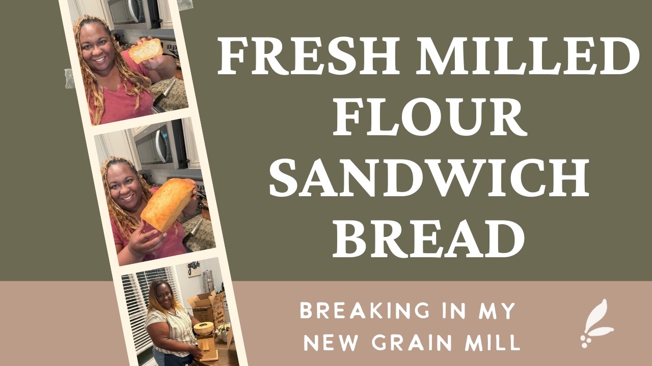 Fresh&nbsp;Milled Flour Sandwich Bread| Using My New Harvest Grain Mill