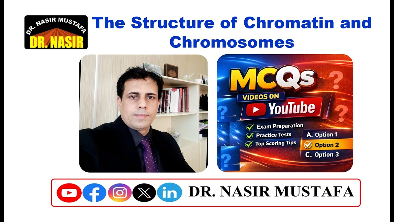 🧬 MCQs on The Structure of Chromatin and Chromosomes | Biology Practice Questions