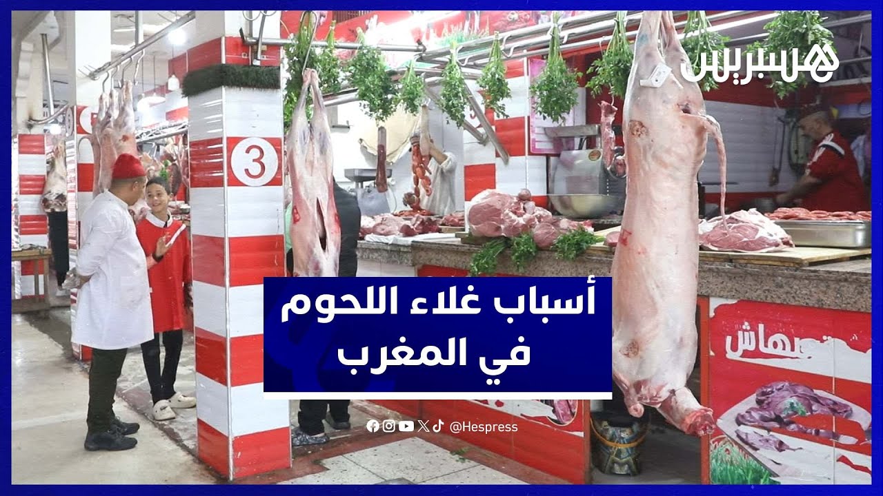 مهنيو اللحوم يكشفون أسباب ارتفاع أسعار اللحوم الحمراء في المغرب