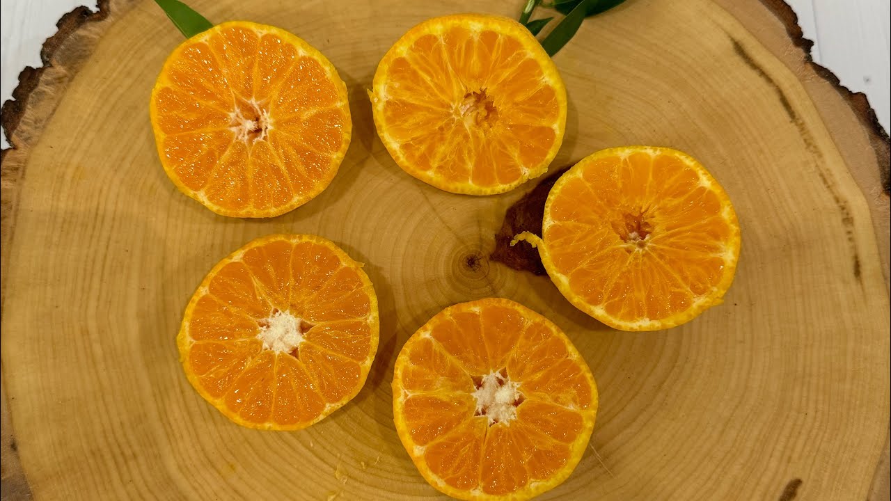 Клементин Спинозо 🍊C. clementina “spinoso” 24.08.2024