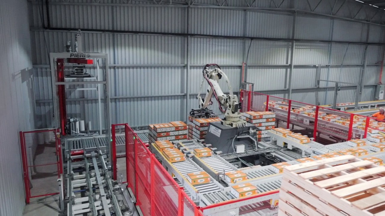 Box Palletizing System