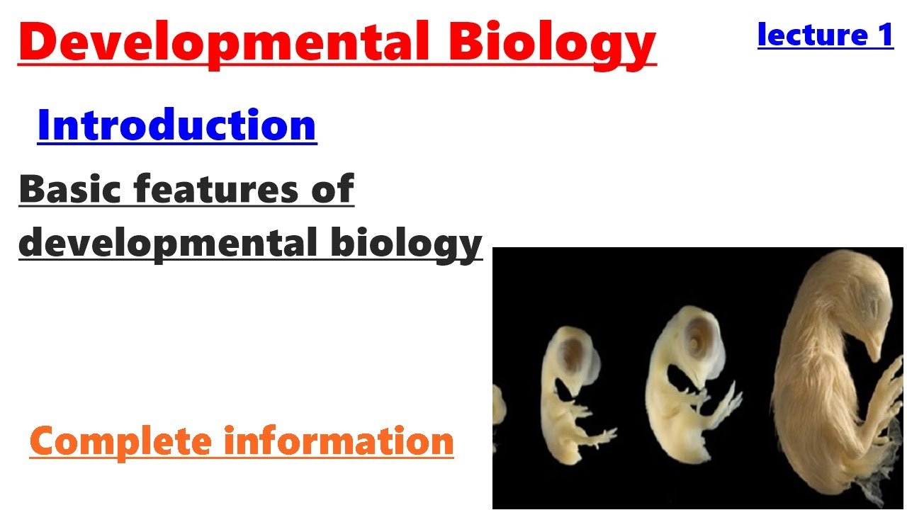Introduction to developmental biology| Basic features of developmental biology-lecture 1| BS ZOOLOGY