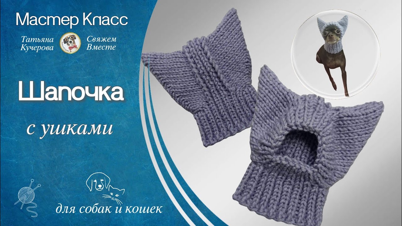 Шапочка с ушками для собак и кошек, DIY Hat for dogs and cats